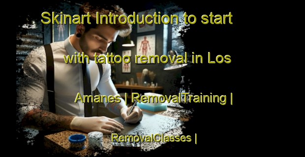 Skinart Introduction to start with tattoo removal in Los Amanes | RemovalTraining | RemovalClasses | SkinartTraining-Mexico